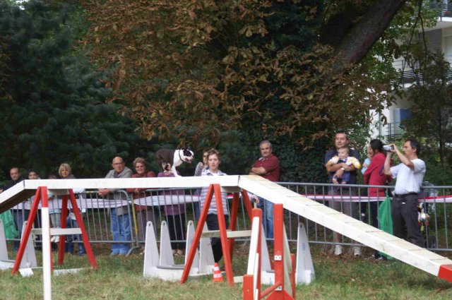 foire-haricots 2011-09-17et18